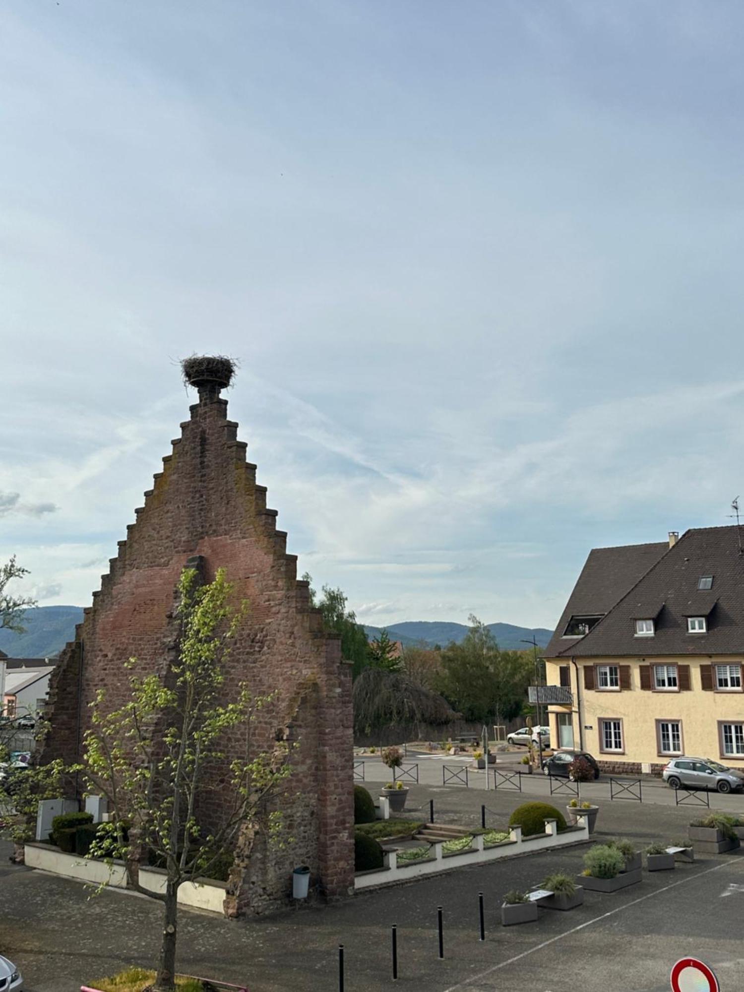 Hotel Au Nid De Cigognes Ostheim Exterior foto